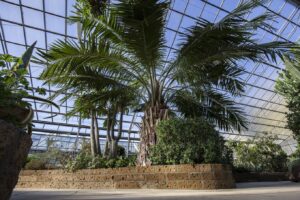Spazio insolito con serra e giardino con vetrate a Como per foto video eventi