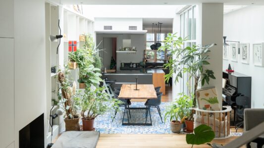 Loft di Gladion